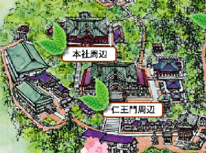 2017年　薬王院新緑マップ（5月19日現在）http://www.takaosan.or.jp/sakura_shinryoku/　